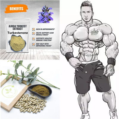 natürliche Pflanzenauszüge 500mg Turkestanica