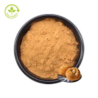 Löwe-Mane Mycelium Extract Hericium Erinaceus-Pilz-Pulver 30%