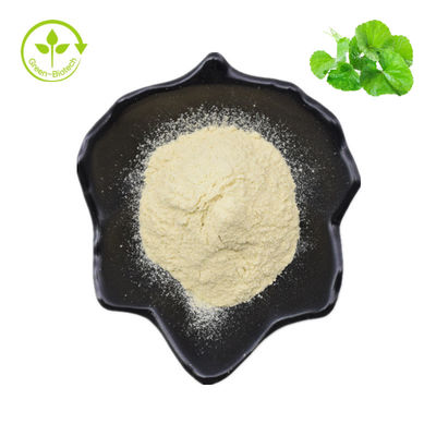 Hydrocotyle asiatica/Centella asiatica/Pulver Gotu Kola Extract 70% Asiaticoside