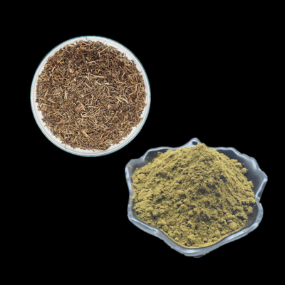Reiner Ajuga Turkestanica extrahieren 2% 10% Turkesterone Pulver-Gebrauch für Bodybuilding