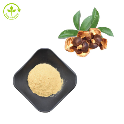 100% natürliches Camellia Seed Extract 95% Tee-Saponin-Pulver