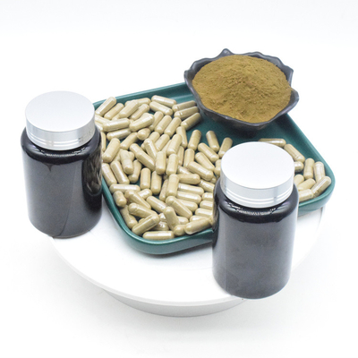 Soem-Ajuga Turkestanica-Auszug pulverisieren 2% 10% 500mg Turkesterone Kapseln