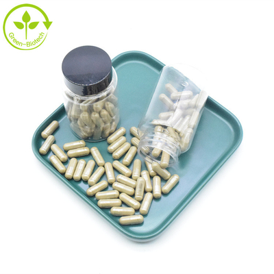 Reine Kapseln der Ajuga Turkestanica-Auszug-Ergänzungs-2% 10% 40% 500mg Turkesterone