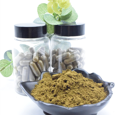 100% natürlicher Turkesterone Pulver 2% 10% 40% Ajuga Turkestanica-Auszug