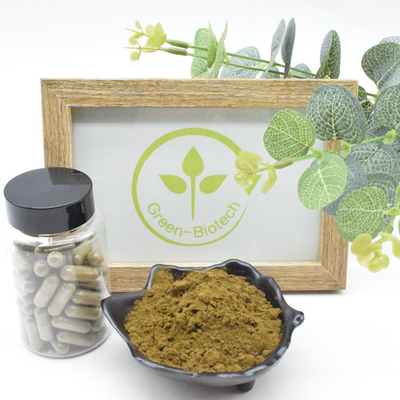 2% 10% Turkestanica-Auszug Turkesterone-Pulver Ajuga hoher Qualität 100% natürliches Turkesterone