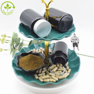 Nahrungsmittelergänzung Ajuga Turkestanica extrahieren 10% 20% Turkesterone Pulver