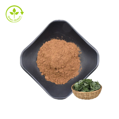 Anlagenbarrenwort-Auszug Epimedium Brevicornum Maxim Epimedium Sagittatum Extract Icariin pulverisieren horniges Ziegen-Unkraut 10%