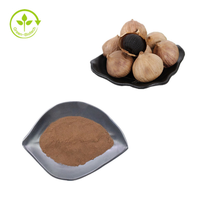 Schwarz-Knoblauch-Pulver des natürlichen Aroma-100%Pure