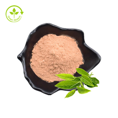 Tee-Polyphenol, EGCG, grüner Tee-Auszug-Pulver