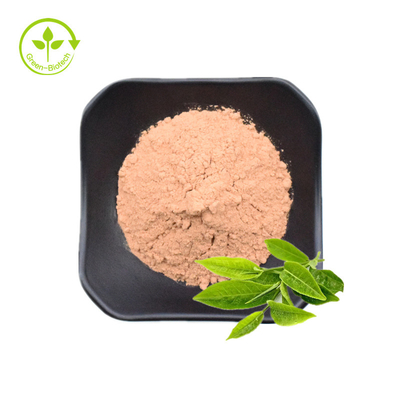 Grüner Tee-Auszug-Pulver/Katechine der Polyphenol-EGCG