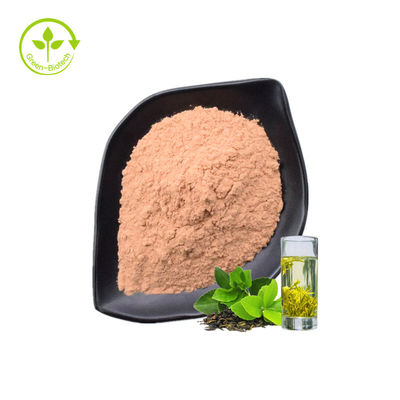 Grüner Tee-Tee-Polyphenol-Auszug-Pulver hat Antioxidanseffekt