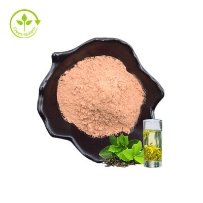 Hohen Qualität des Fabrik-extrahieren natürliche grüne Teeblätter der Großhandelsbetriebsblatt-gesunden 60% Instantpulver