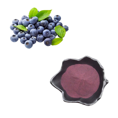 Reines natürliches Frucht-Pulver-Blaubeerpulver-Auszug-Anthocyanin-Heidelbeerauszug-Pulver