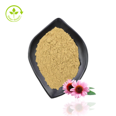 Hochwertiger Echinacea-Extrakt Purpurea Bio-Echinacea-Extrakt-Pulver