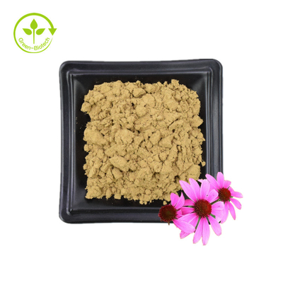 Großpackung Echinacea Purpurea-Extrakt 4 % Polyphenol 2 % Chicorinsäure