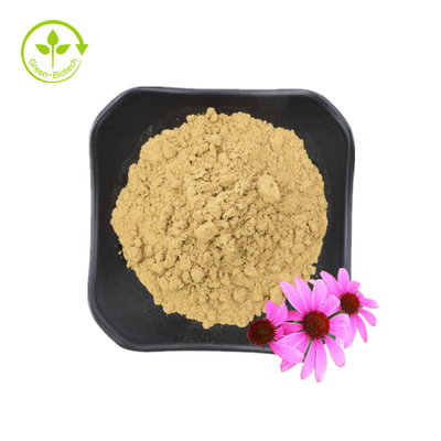Hochwertiger Echinacea Purpurea-Wurzelextrakt, 10 % Polyphenole, Echinacea Purpurea-Extrakt, Echinacea-Extrakt