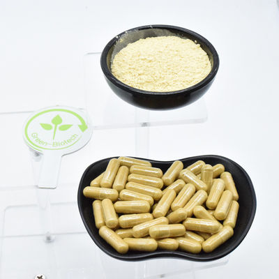 Natürliche Wildpflanze Getrocknete Weiße Ginsengwurzel Extrakt EU-Qualitätsstandard Ginsengwurzel