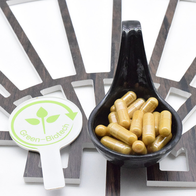 Großhandel 100% Bio-Ginsingwurzel Panax Ginseng in großen Mengen
