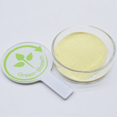 Private Label Kava-Extrakt 30% Gelb Feinpulver Kavalacton zum guten Preis