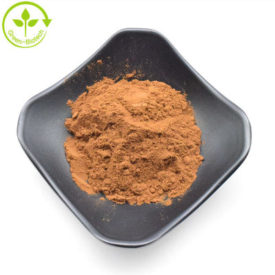 Hochwertiges Chryzanthemenextrakt 5% Flavone Chryzanthemenblütextrakt