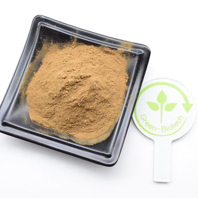 Hochwertiges Dendrobium-Extrakt in großen Mengen Dendrobinpulver 0,5%-98%
