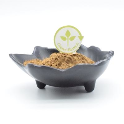 Body Building Ajuga Turkestanica-Auszug-Pulver-Pflanzenauszug-Pulver 500mg 750mg 1000mg