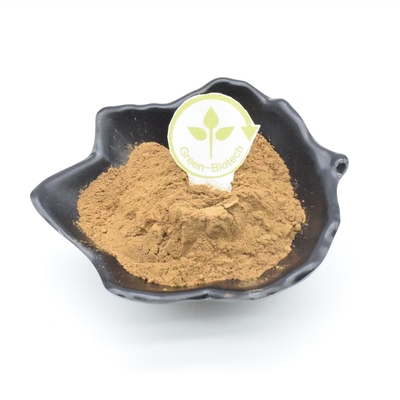 2% Ajuga Turkest-Auszug-Bodybuilding