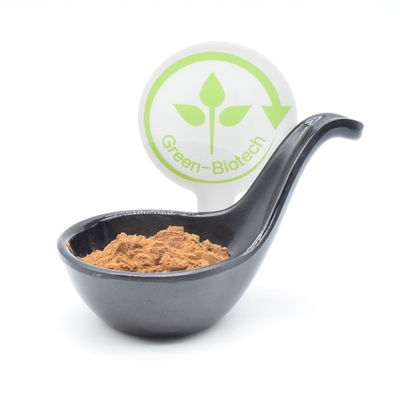 Sport ergänzt turkest Auszug bodybuildendes 2% 250mg 350mg 500mg des Ajuga