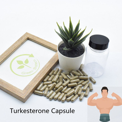 2% 10% Ajuga Turkestanica ergänzt natürliche Pflanzenauszüge Ecdysteroid
