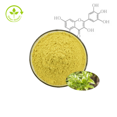 Bayberry-Fruchtrinden-Pflanzenextrakt-Pulver Myricetin 98%