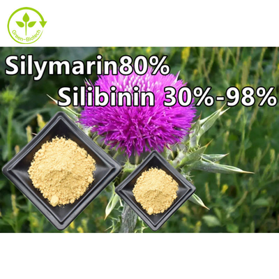 Mariendistel-Pflanzenextrakt-Pulver 80 % Silymarin in Lebensmittelqualität
