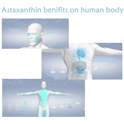 CAS 7542-45-2 1 % - 10 % Astaxanthin-Pulver für eine gesunde Pflege