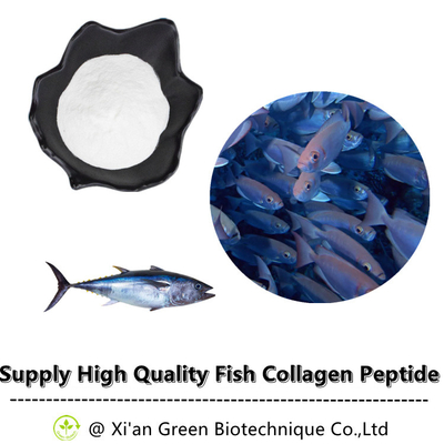 Heißes verkaufendes reines Fisch-Kollagen-Peptid-Pulver-Tiefsee-Fisch-Kollagen-Peptid