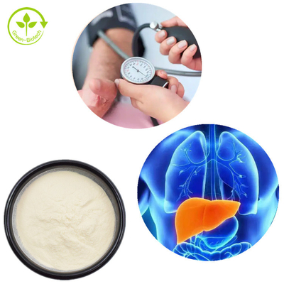 Mais-Peptidpulver der Pflanzenauszug-Maisproteinpeptid Stützhohen qualität natürliches