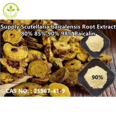 Grünes Biotech-Versorgungs-hoher Reinheitsgrad Baical-Skullcap-Auszug Baicalin 80% 85% 90% 98% CAS Nr.: 21967-41-9
