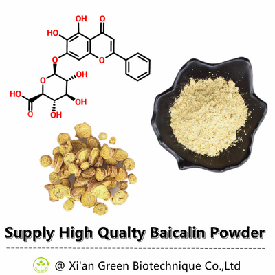 Grünes Biotech-Versorgungs-hoher Reinheitsgrad Baical-Skullcap-Auszug Baicalin 80% 85% 90% 98% CAS Nr.: 21967-41-9