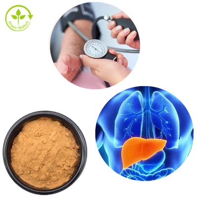 Löwe-Mane Mycelium Extract Hericium Erinaceus-Pilz-Pulver 30%