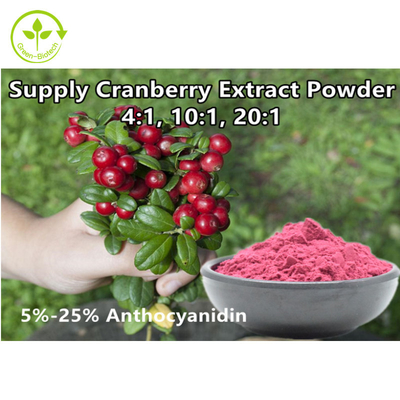 Organisches Moosbeerfrucht-Auszug-Vaccinium Macrocarpon des 4:1 Moosbeerauszug-Pulver-Anthocyanidin-25%