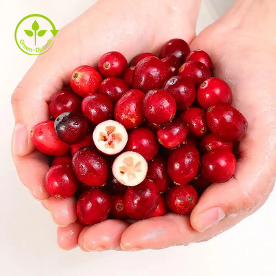 Organisches Moosbeerfrucht-Auszug-Vaccinium Macrocarpon des 4:1 Moosbeerauszug-Pulver-Anthocyanidin-25%