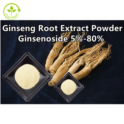 Kräuterginseng-Wurzel-Auszug pulverisieren Ginsenoside 5% - 80%