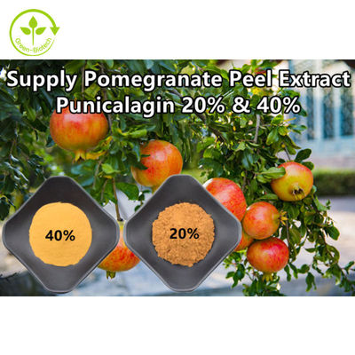 Reiner natürlicher Granatapfel-Auszug pulverisieren Punicalagin CAS 65995-63-3