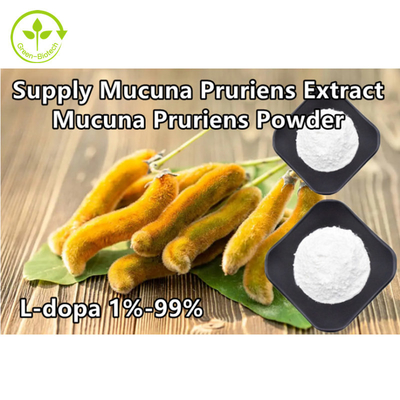 Anlagenmucuna Pruriens extrahieren 98% 99% L-Dopa-Pulver