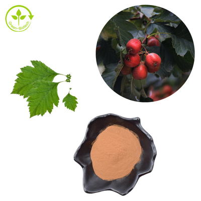 Pulver-Crataegus-Blatt-Auszug Weißdorn-Berry Extract Flavoness 80%