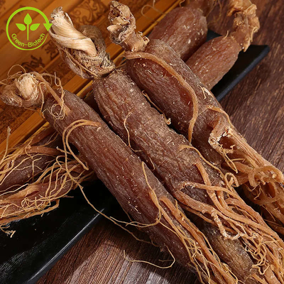 Nahrungsmittelgrad-natürliches koreanisches rotes Ginseng-Pulver-rotes Ginseng-Wurzel-Auszug-Pulver