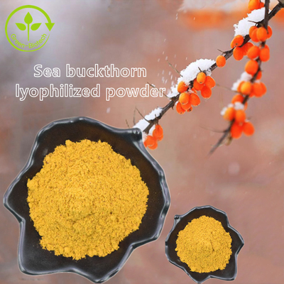 Sanddorn-Öl Hippophae-Rhamnoid-Öl Pflanzenauszug Fructus Hippophae