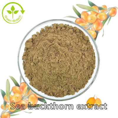 Sanddorn-Öl Hippophae-Rhamnoid-Öl Pflanzenauszug Fructus Hippophae