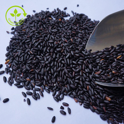 Massen100% reine schwarze Reis-Auszug-Anthocyanin pulverisieren 10 - 25%