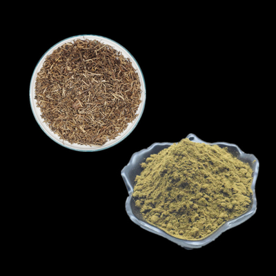 Ajuga, den Turkestanica Kräuterauszugpulver Turkesterone-Pulver extrahieren, ergänzt 2% 10% 20%