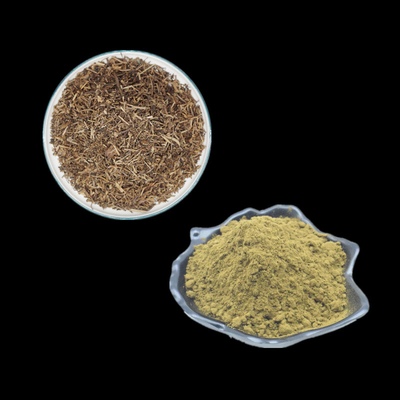 2% 10% 20% 40% Turkesterone Auszug-Pulver-Ergänzung Ajuga Turkestanica