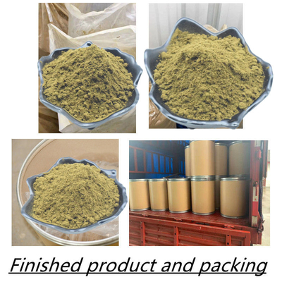 Pulver Versorgung Turkesterone 2% 10% 20% machen Turkesterone-Kapseln